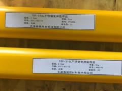 TGF-347免充氬焊絲